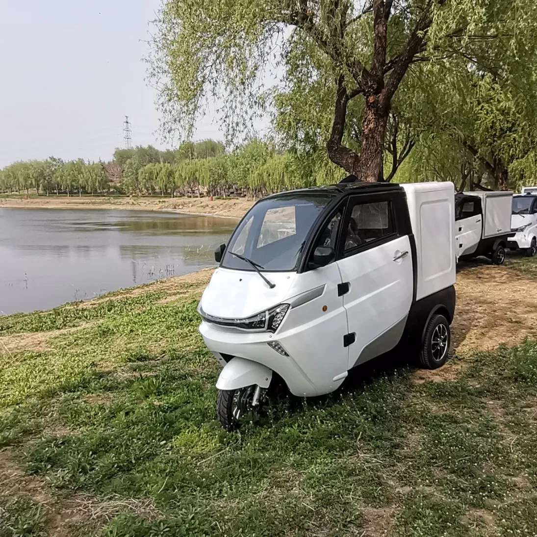 3kw 3 Wheel Electric Trike Delivery Van for Supermarket Delivery