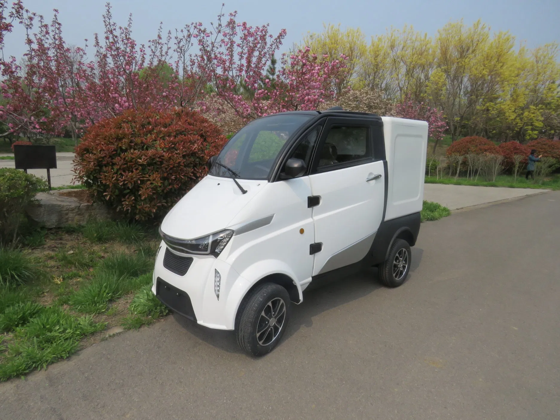 EEC Approval Lithium Battery Electric Mini Van for Logistics