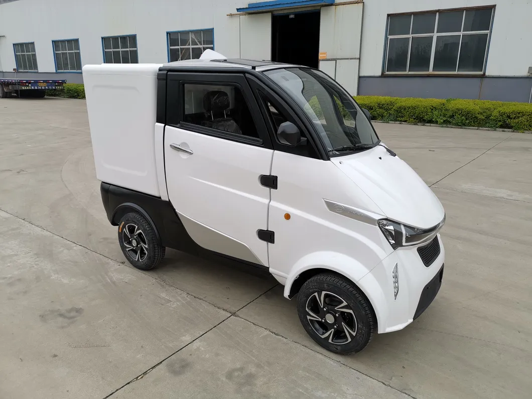 Electric Four Wheel Mini Smart Cargo with Onr Seater